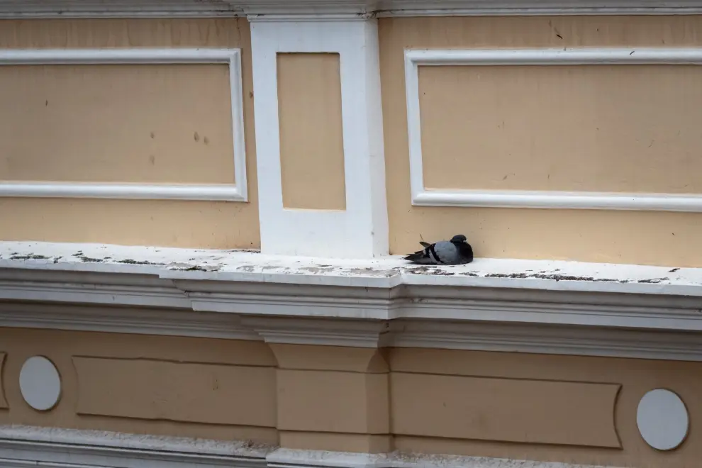 Legislatura después de la tormenta