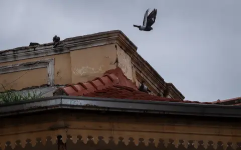 Legislatura después de la tormenta