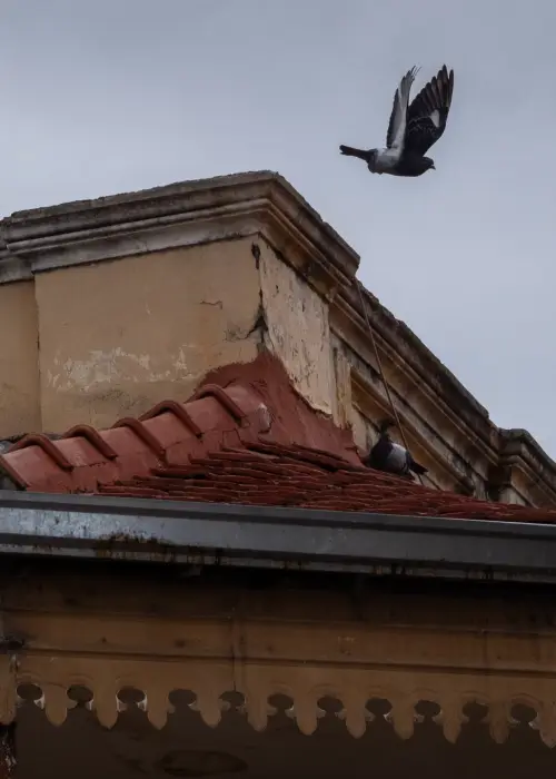 Legislatura después de la tormenta