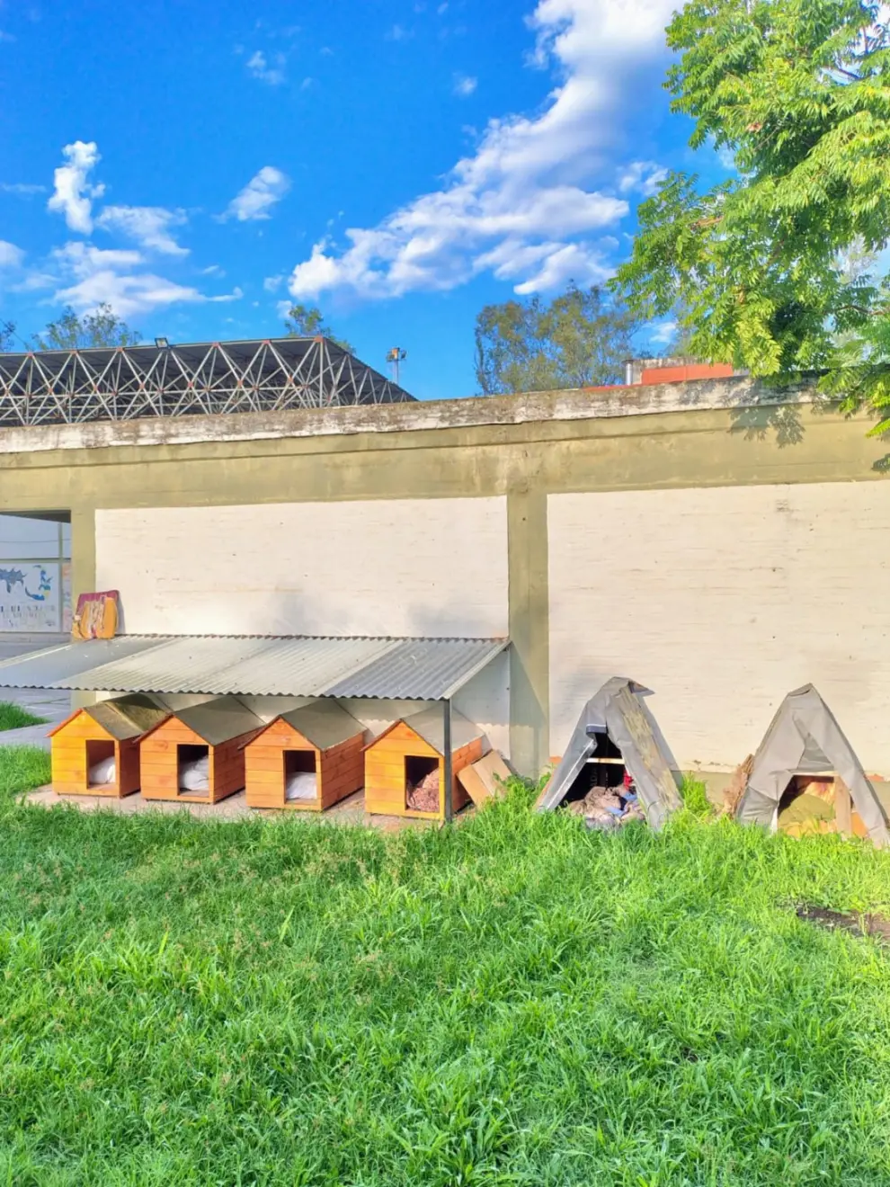 Perritos UNSA
