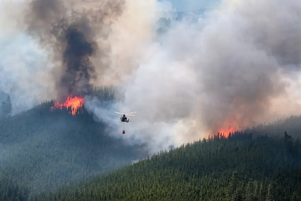 El incendio en Puerto Patriada obligó a evacuar a miles de turistas