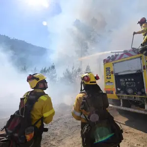 Cazan incendiarios en Chubut: $50 millones de recompensa por datos clave