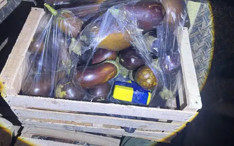 La droga iba oculta en cajones de berenjenas.