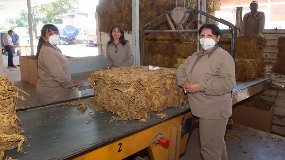 El vicegobernador Marocco recorrió emprendimientos vinculados a la producción porotera y tabacalera