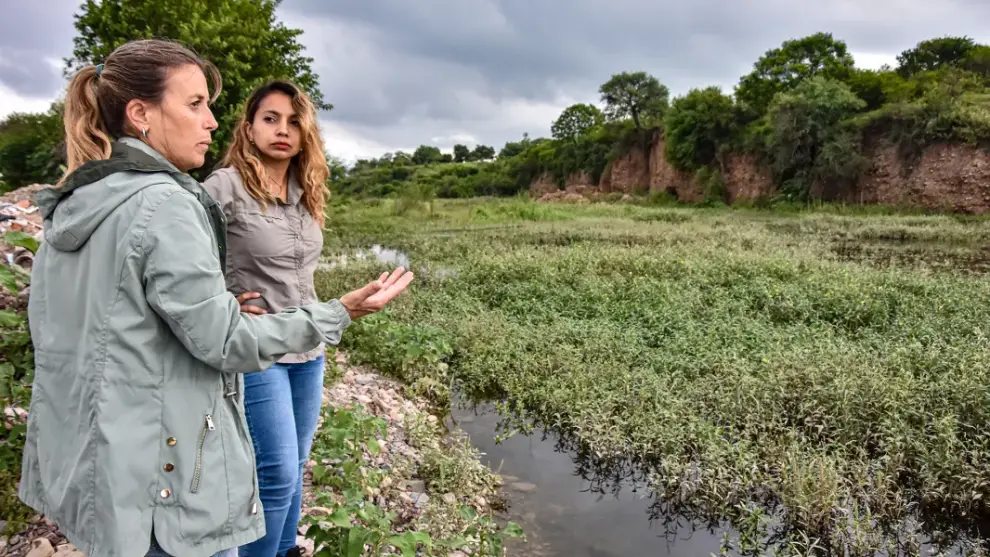 Yacarés Río Arias