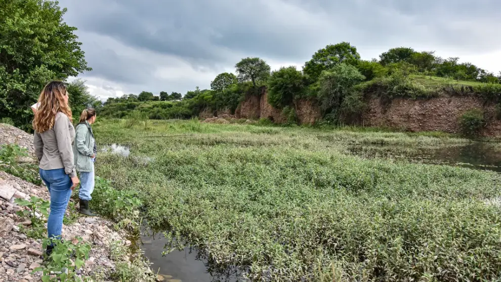 Yacarés Río Arias