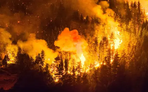 El fuego en Chubut sigue avanzando a pesar del viento y hay alerta también en Bariloche y El Bolsón