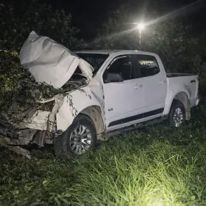Intendente salteño chocó contra una vaca y terminó en el hospital