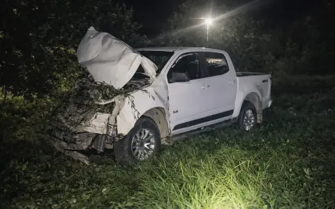 El intendente de Salvador Mazza, Gustavo Subelza, impactó con una vaca