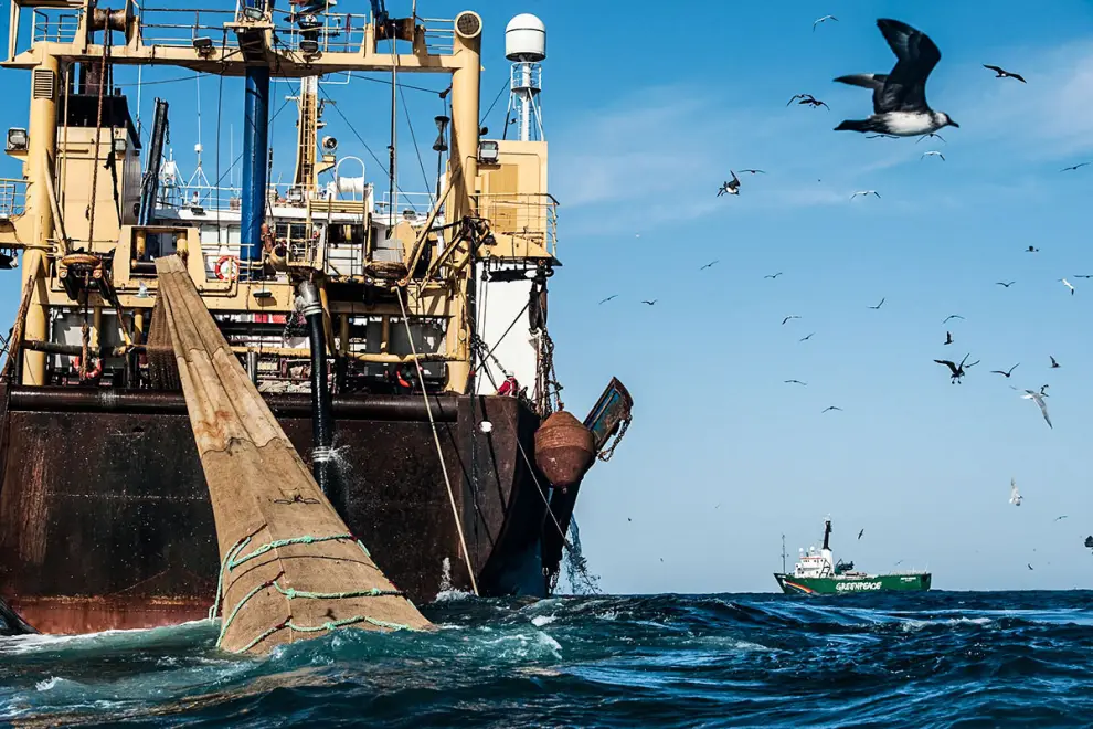 Pesca Ilegal