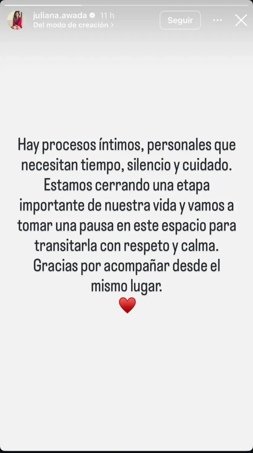 Historia de Awada en Instagram