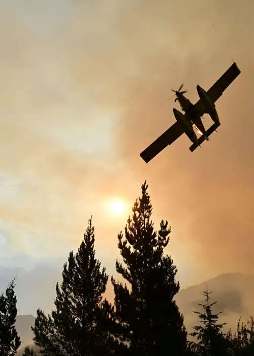 Chubut incendios forestales