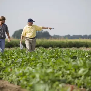 Mercosur–Unión Europea: Qué puede ganar Salta con el acuerdo y cuál es la "alerta por la letra chica" del Campo