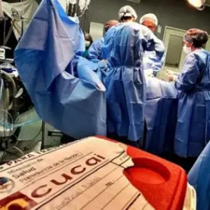 Cientos de pacientes esperan un trasplante en Salta: qué demanda encabeza la lista