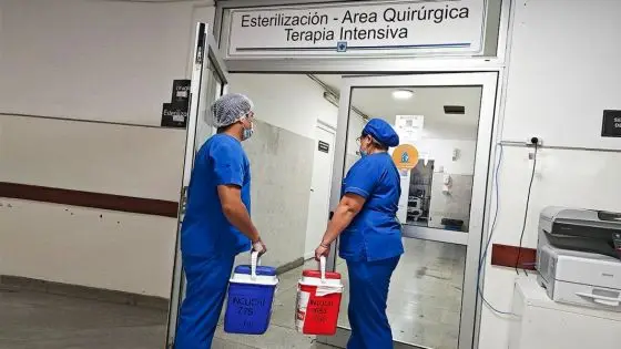 En Salta se realizan trasplantes de córneas, riñón y médula ósea