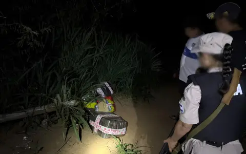 PNA incautó 200 kilos de droga