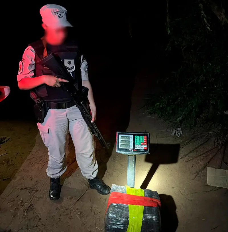 PNA incautó 200 kilos de droga