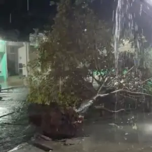 Destrozos en Metán y Lumbreras por la tormenta: voladura de techos, desagües colapsados y árboles caídos