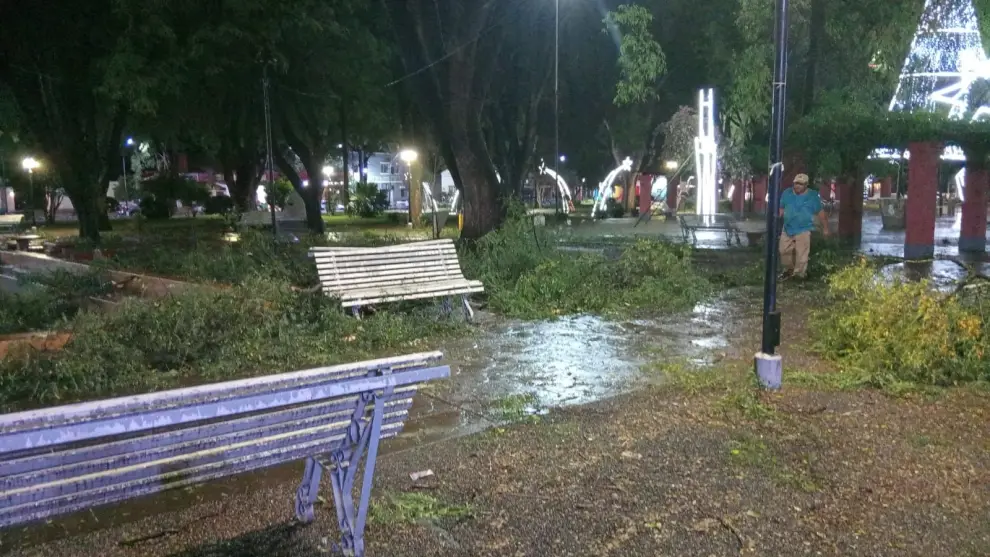 Las tareas de limpieza de ramas caídas en la plaza de Metán