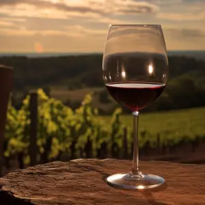 "De 90 a 16 litros": La caída del consumo golpea a las bodegas de Salta, pero un reciente acuerdo puede "nivelar la cancha" del vino