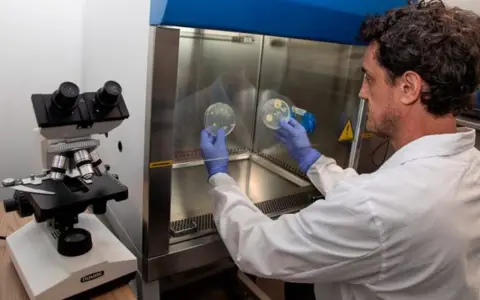 Paulo Maffía analizando microorganismos resistentes en una cabina de seguridad biológica