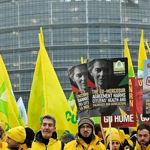 El Parlamento Europeo congela el acuerdo entre la UE y el Mercosur