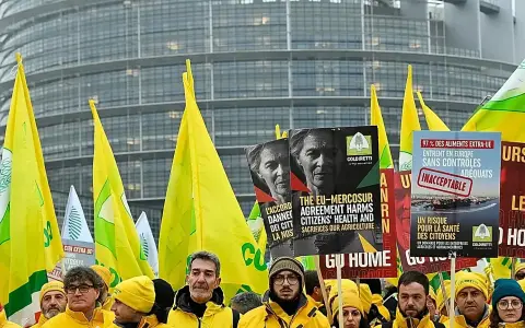 El Parlamento Europeo congela el acuerdo entre la UE y el Mercosur