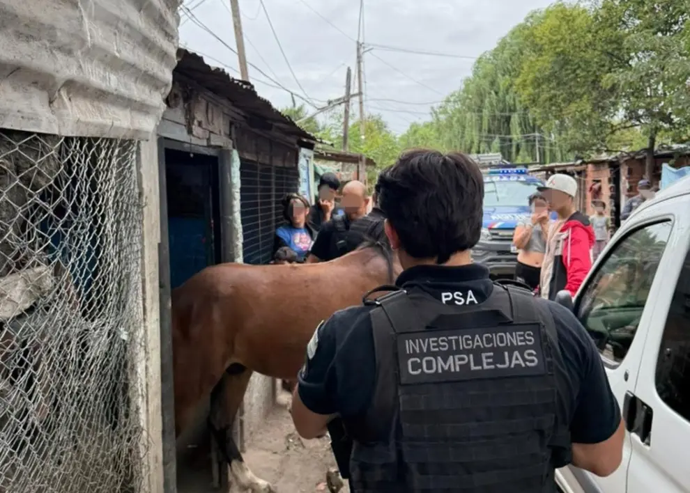Cinco narcos detenidos en Rosario