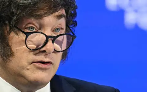 Milei sobre Paolo Rocca, CEO de Techint: “Don Chatarrín”