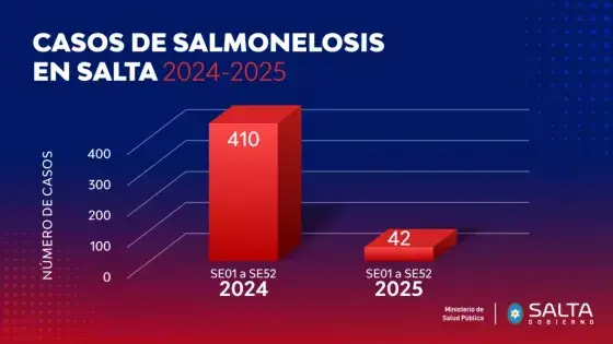 Bajaron los casos de salmonelosis en Salta