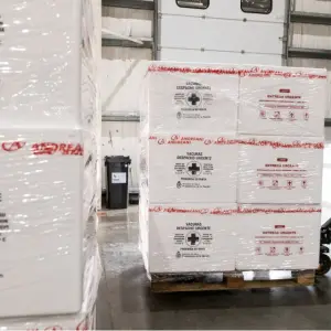 Dengue: Nación distribuye 170 mil dosis de vacunas en 11 provincias