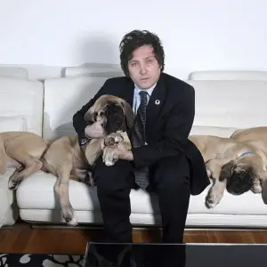 Milei versus Lula: “Jamás le pondría el nombre de alguien de izquierda a mis perros"