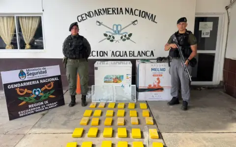 Más de 30 kilos de cocaína en un freezer