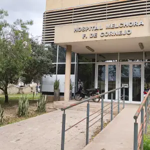 Chikungunya: confirman el primer caso en Salta y se investiga si fue importado