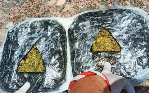 Los dos kilos de marihuana decomisados en Lumbreras