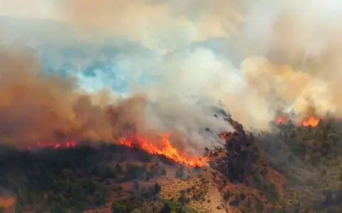 Incendios en Chubut