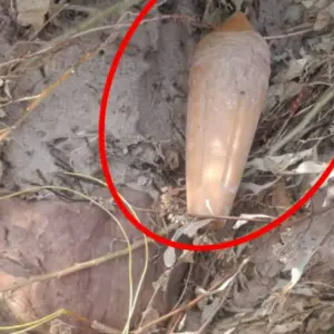 Hallan un explosivo sísmico en Tartagal: fue desactivado e investigan su origen