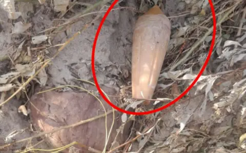 Hallan y desactivan un explosivo sísmico en Tartagal