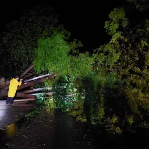 Viviendas que se quedaron sin techo y arboles caídos tras fuerte temporal en El Quebrachal