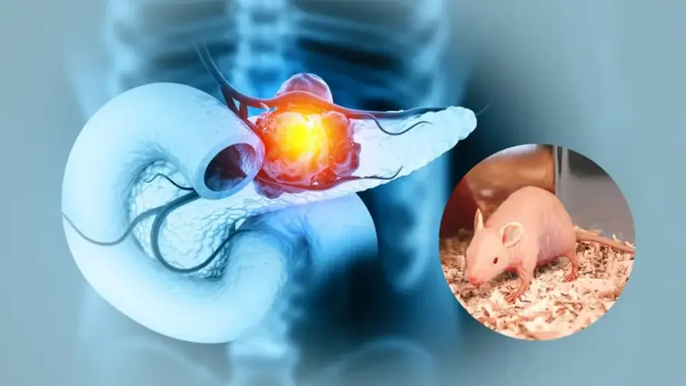 La ciencia abre una nueva esperanza