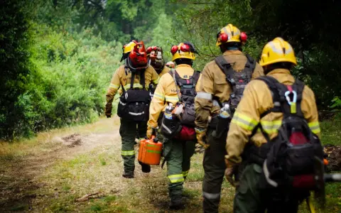 Bomberos Voluntarios