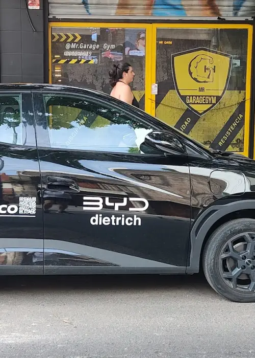 auto electrico chino