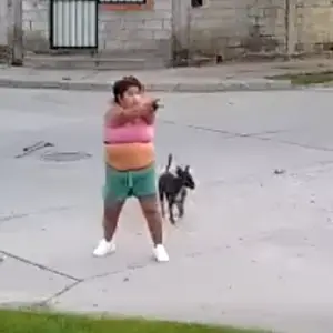 Video: Detuvieron a una mujer que sacó un arma de fuego en una gresca en Villa San Antonio