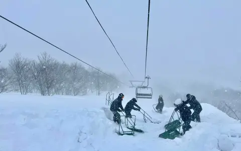 Telesilla Japón