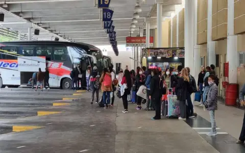 Terminar de omnibus