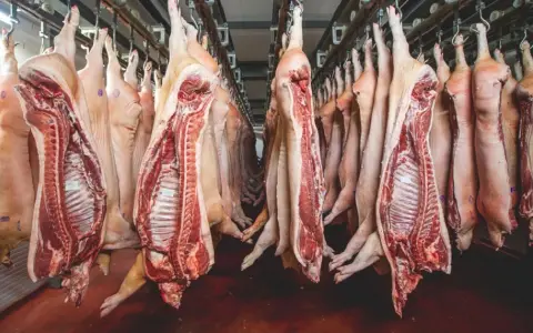 El sector porcino cerró el 2025 con récord de faena y consumo 
