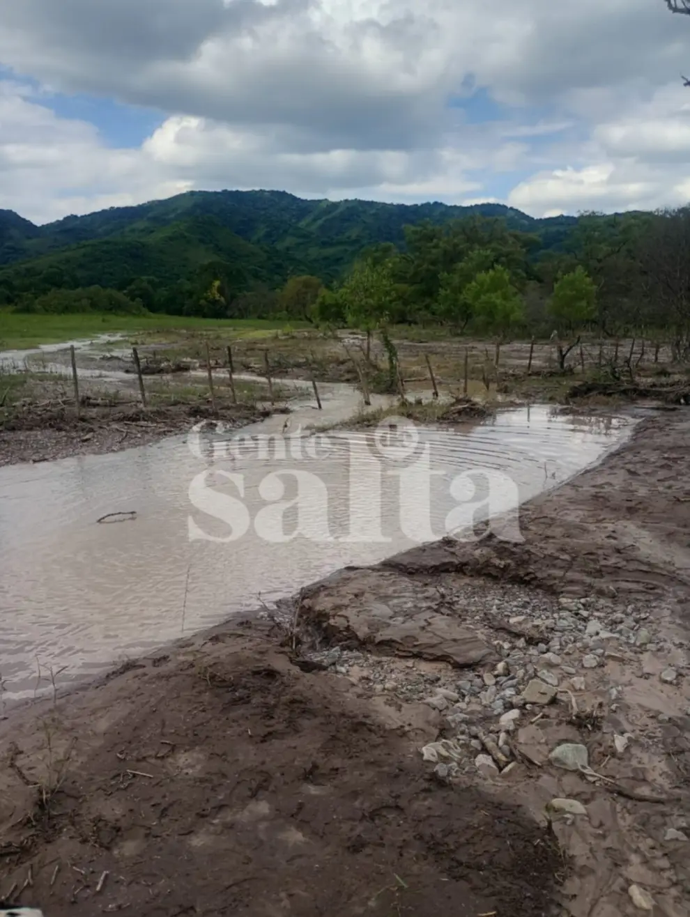 La ubicación donde se produjo el hallazgo