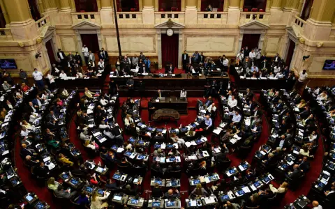 Diputados reanudará los debates por la baja de la edad de imputabilidad 