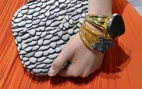 De meteoritos argentino a accesorios de moda en plena pasarela. ¿Qué dice la ley?