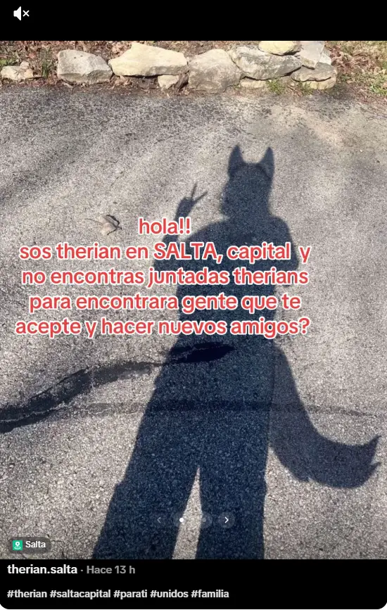 El post de TikTok para la juntada en Salta Capital